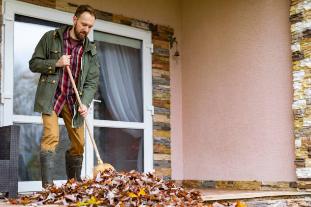 Best Basement Cleanout Services  in Quantico Base, VA